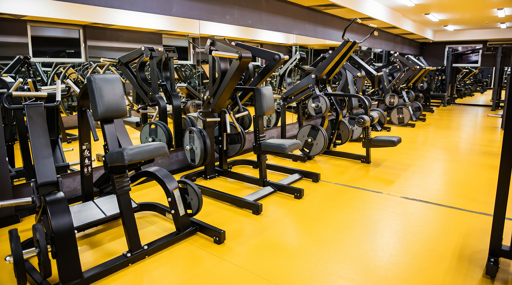 Aparatos de entrenamiento en un gimnasio
